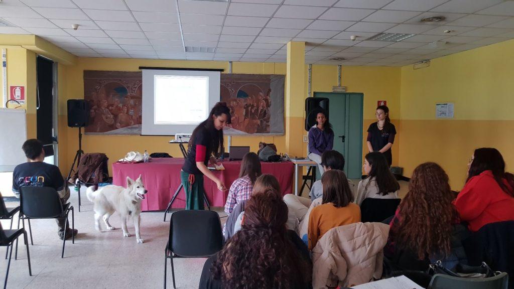 ZOOANTROPOLOGIA:  gli animali portano verso la rete