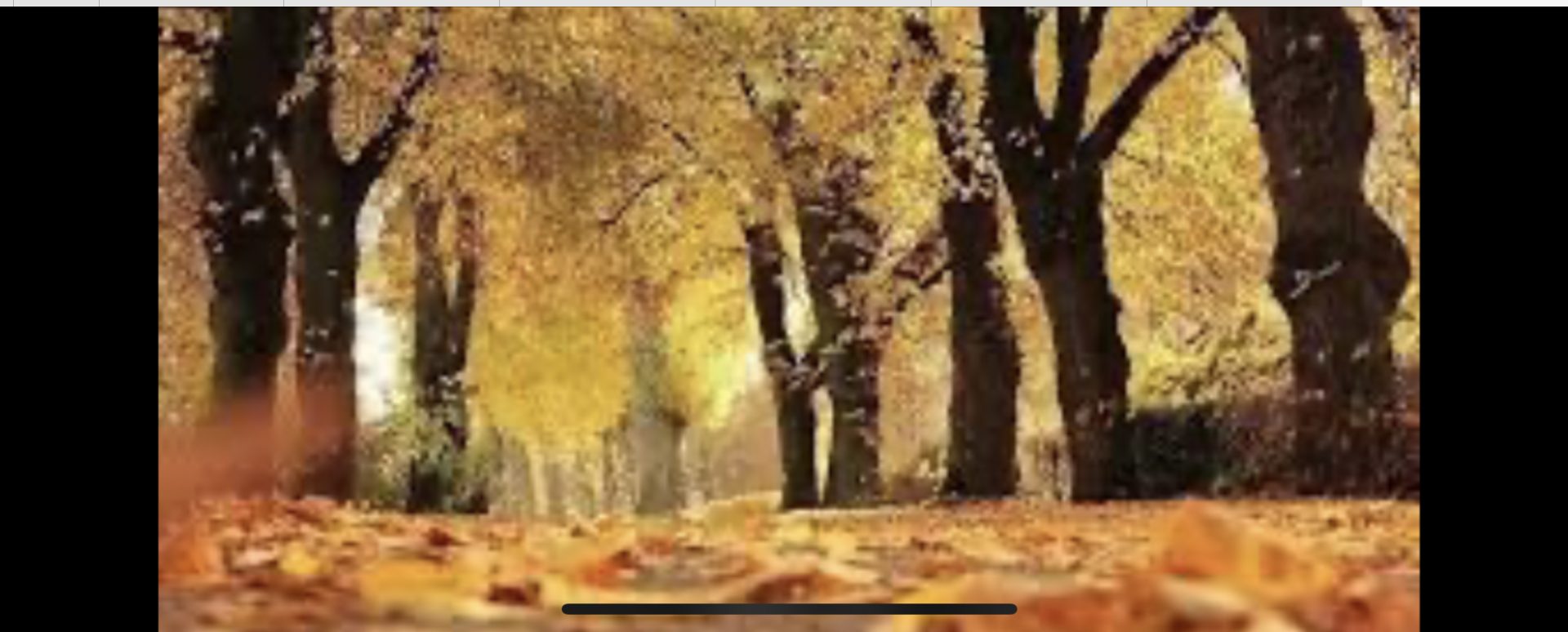 Festività di Ognissanti – Chiusura degli Uffici