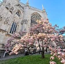 Funzionamento degli uffici amministrativi nel periodo pasquale